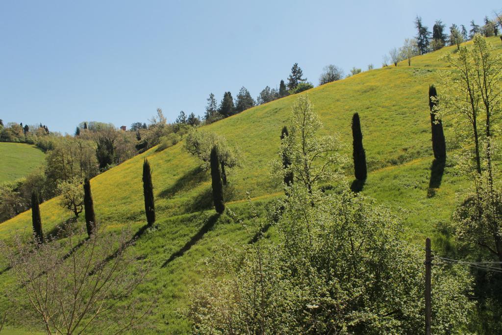 Boscobo - Relax & Natura Bolonia Exterior foto