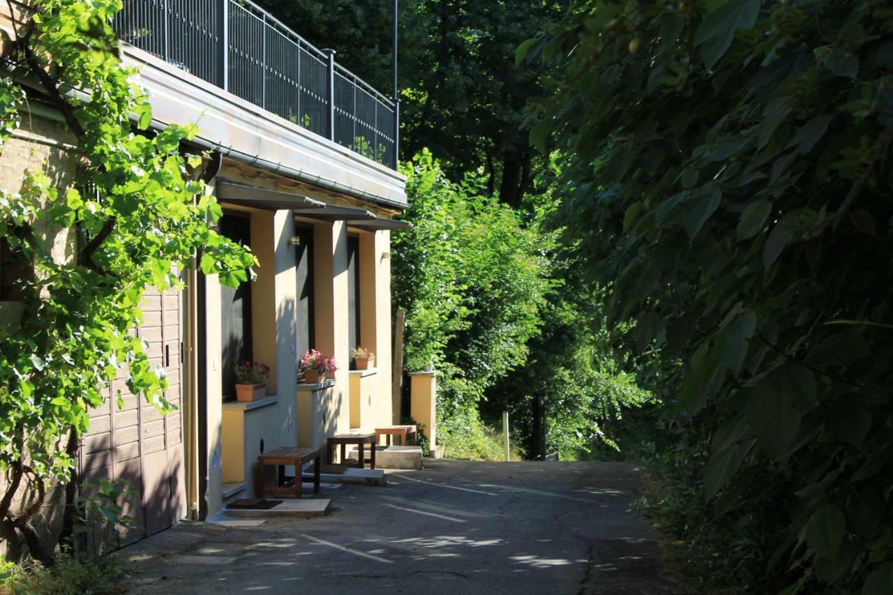 Boscobo - Relax & Natura Bolonia Exterior foto